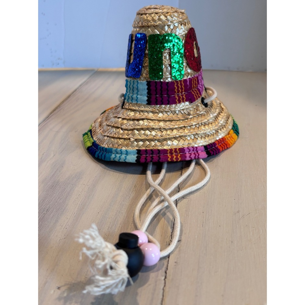 Mini Straw Sombrero Hat UNO Glitter Letters Serape Trim Party Pet Accessory 6in